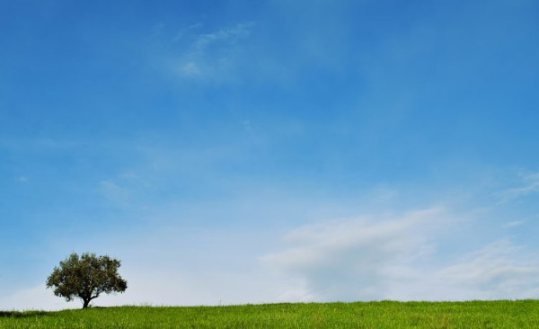 4・5才児大募集!! 夏のプログラム実施中！