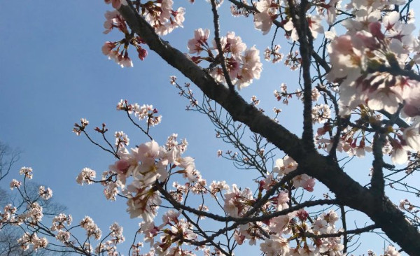 新学期スタート！1日レッスン体験受付中！！