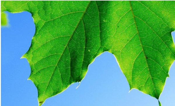 1日レッスン体験受付中！