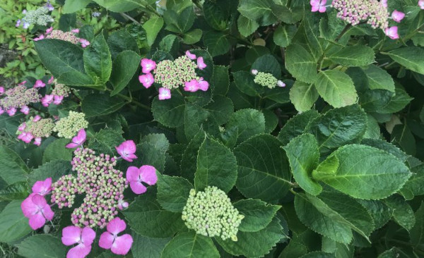 6月生募集中！ 1日体験してみませんか？