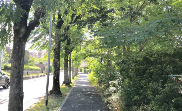 夏の集中コース受講者募集中！