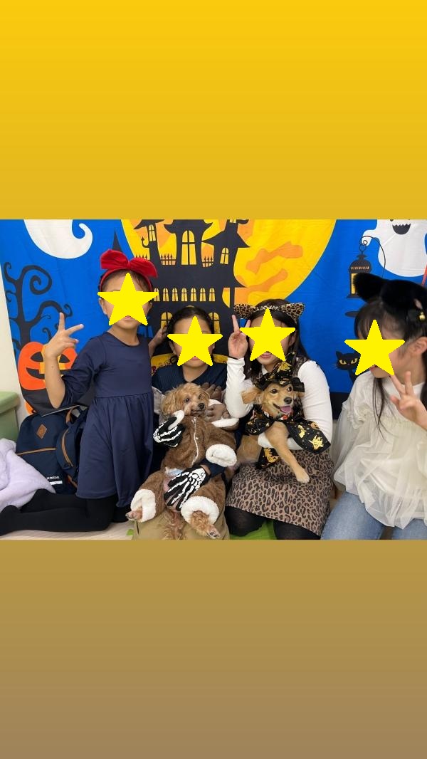 ht133952v 2025年10月のスペシャルゲストハロウィンはチワツクス１歳のシェリーちゃんです！そして、お友達のマルプー！