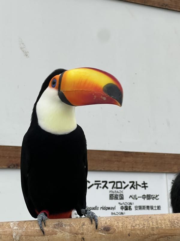 ht080851 In Hamamatsu