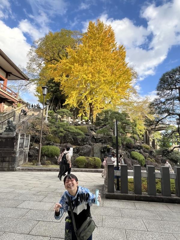 ht121614 成田山では紅葉まつりが始まり、とても綺麗でした