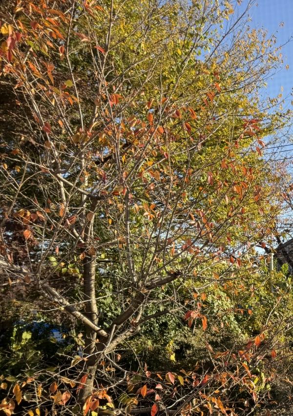 英検®︎二次全員合格！！