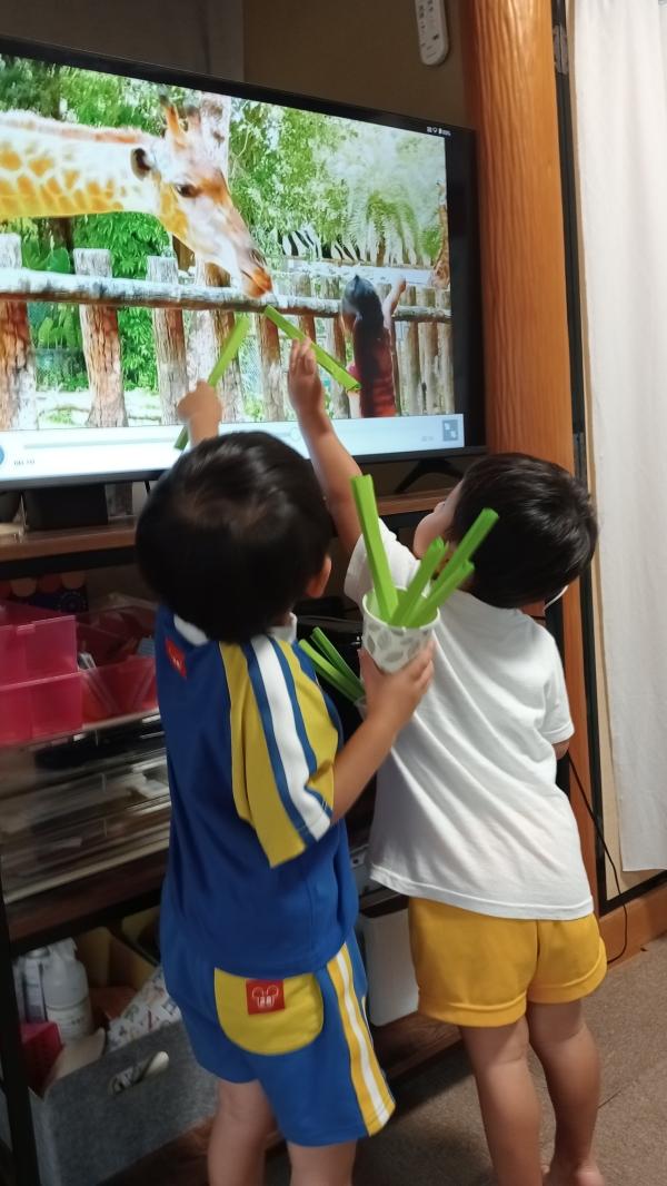 ht232173 本当にかわいい3.4歳児ちゃん、本当にご飯をあげているみたいだね。