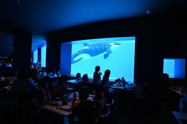 Summer Field Trip 2025