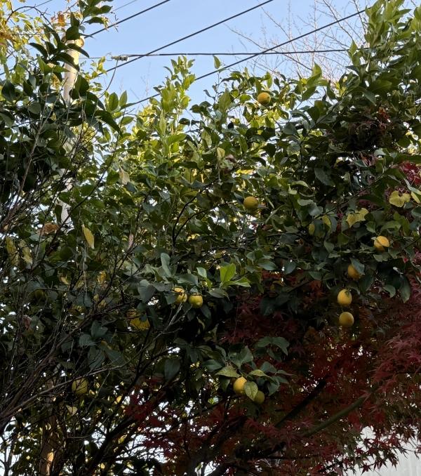 12月第1週のグッジョブ！