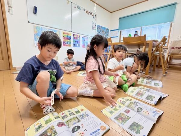 ht030062 幼児（年中・年長）クラスお友達とコミュニケーションをとりながら英語を吸収！