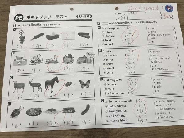 ボキャブラリーテスト満点！