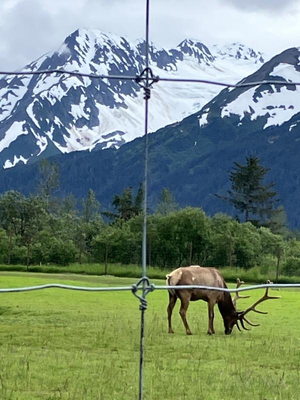 中3推薦入試、小学受験、英検®、定期テスト