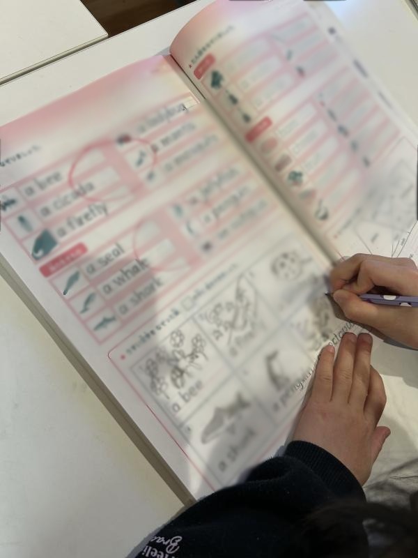 ht040323b スーパーラーニングでライティングもしっかり学びます。毎回オプションまで進む小2のSちゃん！