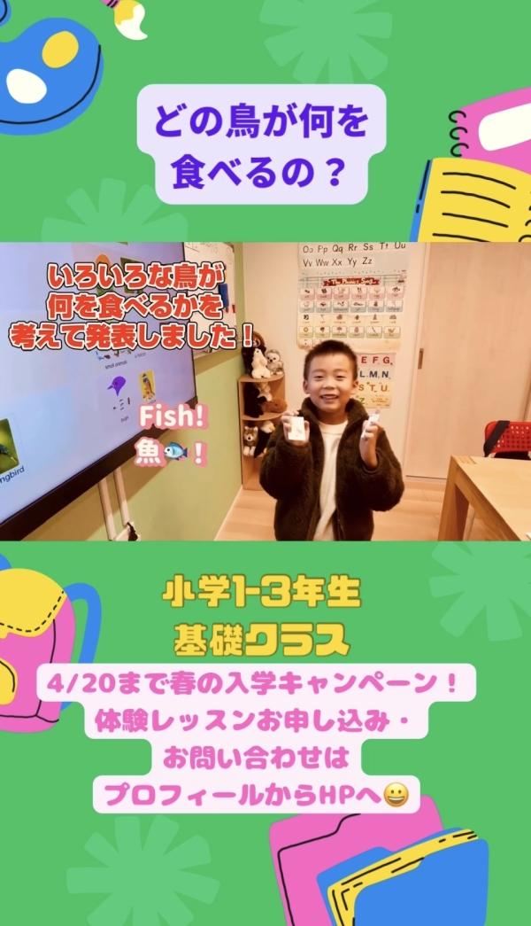 小学1-3年生基礎クラス、鳥について学んだよ！