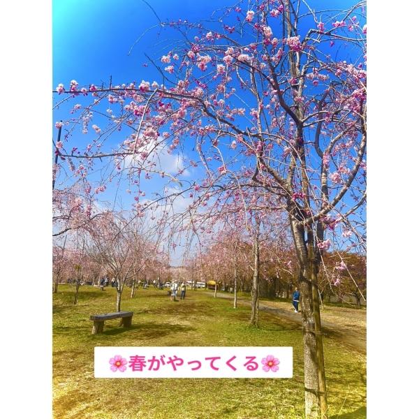 教室の雰囲気が分かる写真