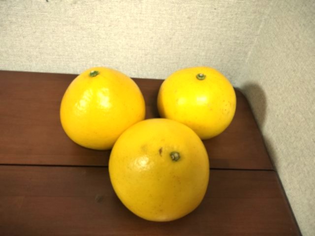 Rちゃん＆T君ママから今年も文旦頂きました！！