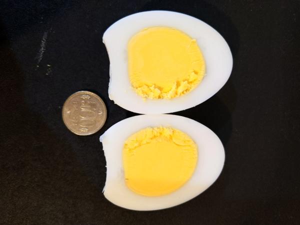 ガチョウのたまご