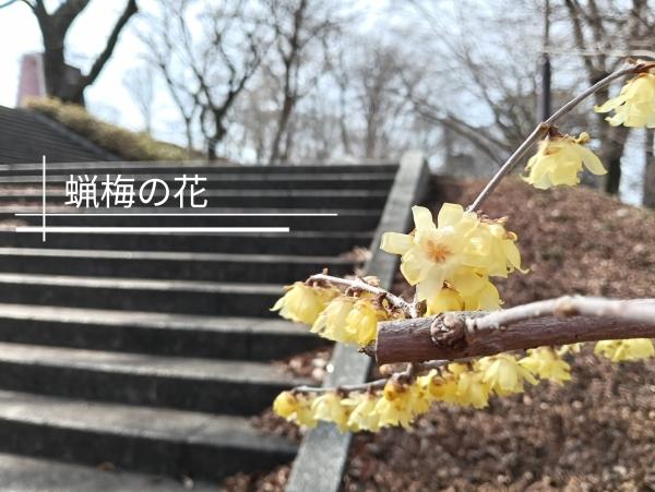 【❀myself❀】卒業式、母親の気持ち