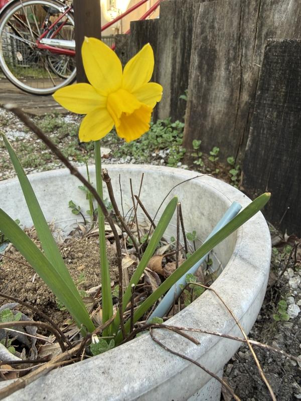 英検®︎準2級プラス&2級一次ダブル合格おめでとう！