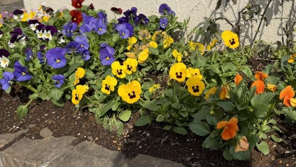 C君、第一志望校合格おめでとう！