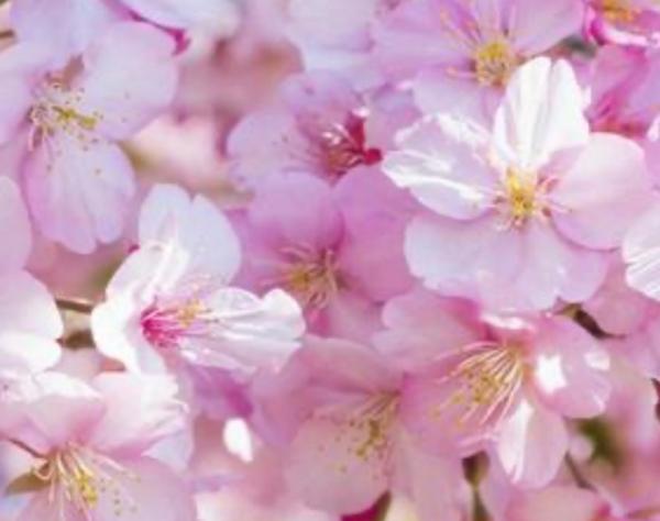 ☆第一希望大学合格おめでとうございます☆☆