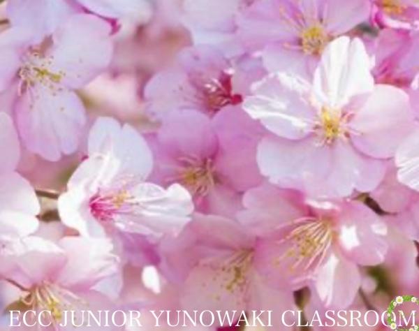 ☆志望大学合格おめでとうございます☆☆