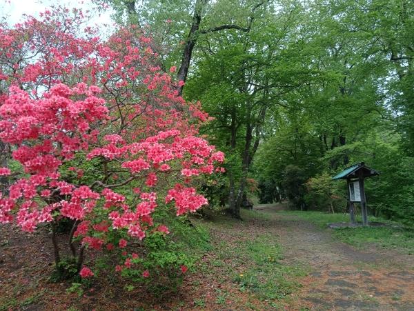 今週も宜しくお願い致します！