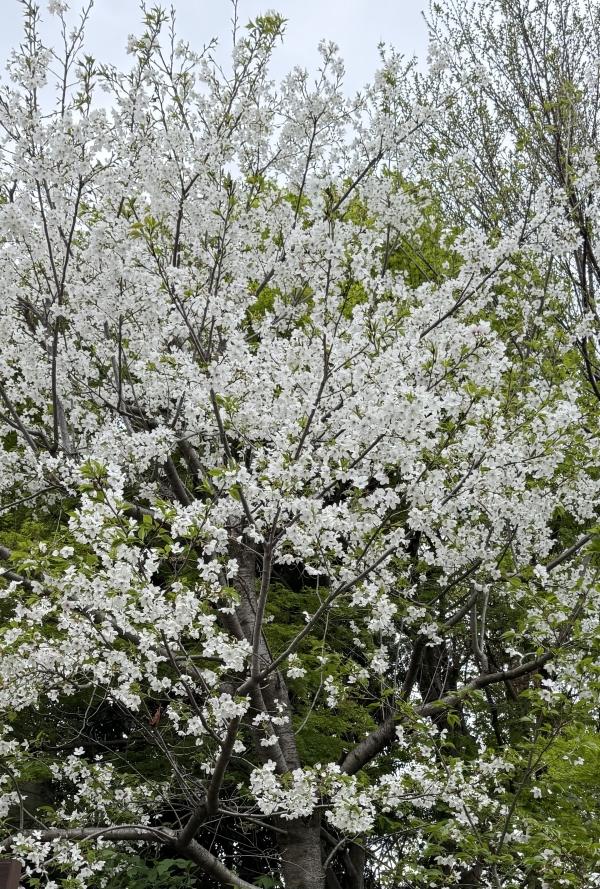 2026年度スタートしました！