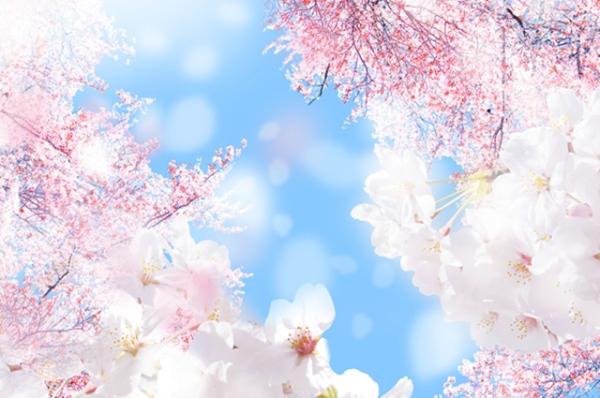 新学期がはじまりました