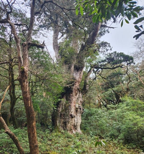 やれば出来たこと！！