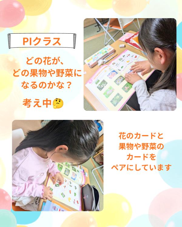 ht210373 何の果物や野菜になるのかな？