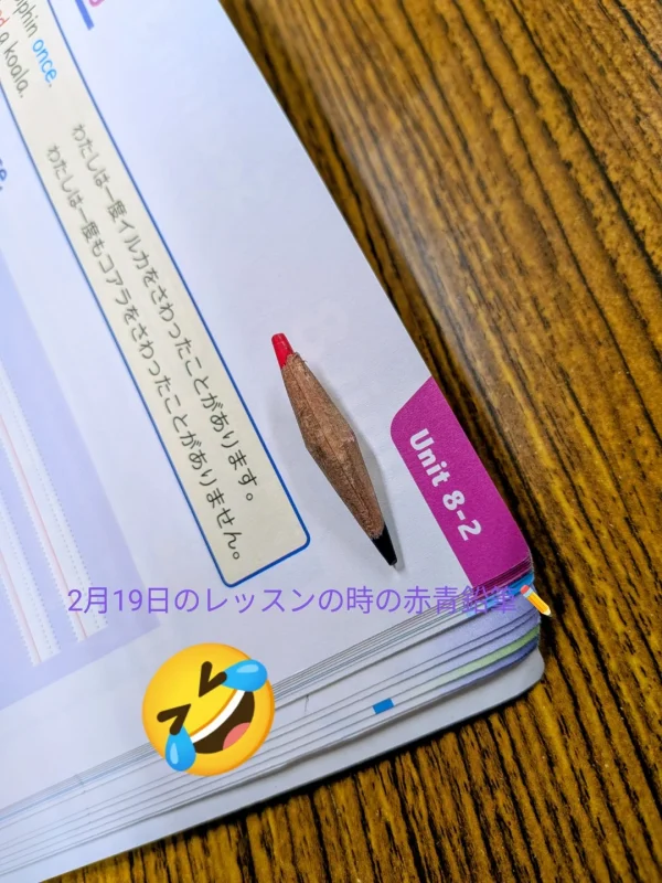 大切に使い続けた赤青鉛筆♥