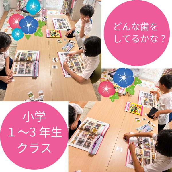 どんな歯をしてるかな？