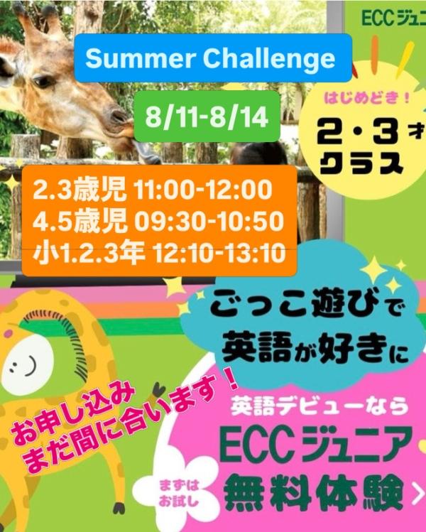 Summer Challenge!!!