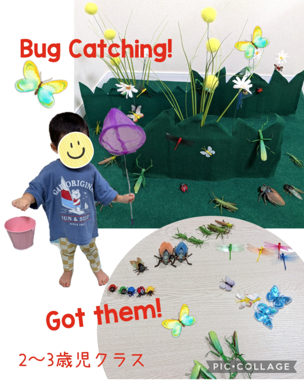 Bug Catching！2〜3歳児クラス